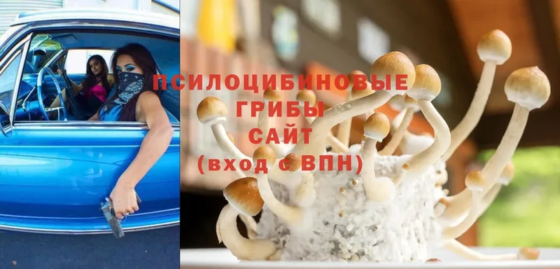 Галлюциногенные грибы Magic Shrooms  Курск 